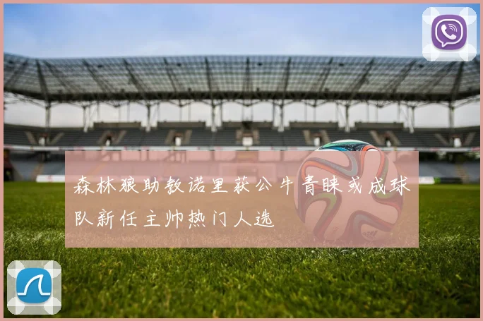 森林狼助教诺里获公牛青睐或成球队新任主帅热门人选