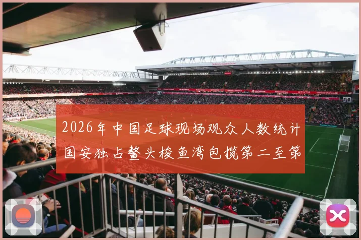 2026年中国足球现场观众人数统计国安独占鳌头梭鱼湾包揽第二至第七位
