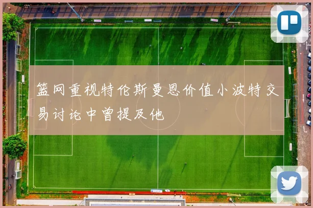 篮网重视特伦斯曼恩价值小波特交易讨论中曾提及他