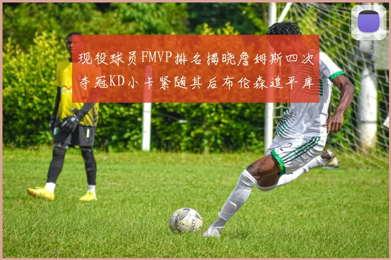 现役球员FMVP排名揭晓詹姆斯四次夺冠KD小卡紧随其后布伦森追平库里约基奇等